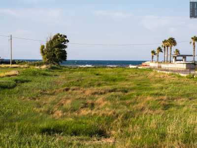 ...prima che la zona lasci il posto alla foce di Lama Balice, che di fatto interrompe la strada litoranea di Bari dividendo il Fesca in due zone separate